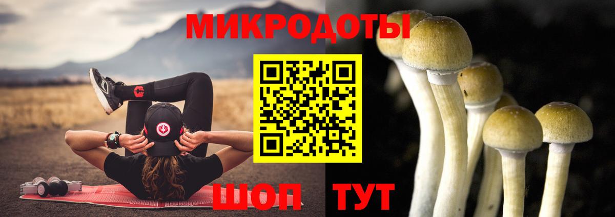 Орск  Галлюциногенные грибы Cubensis  Вход с VPN 