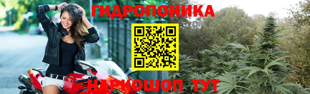 Марихуана White Widow Орск